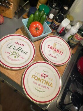 Sur La Table Fontina D'Oliva Chianti 9" Plates — Set of 6 | Excellent Condition